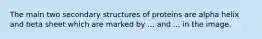 The main two secondary structures of proteins are alpha helix and beta sheet which are marked by ... and ... in the image.