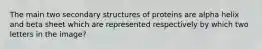 The main two secondary structures of proteins are alpha helix and beta sheet which are represented respectively by which two letters in the image?