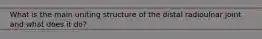 What is the main uniting structure of the distal radioulnar joint and what does it do?
