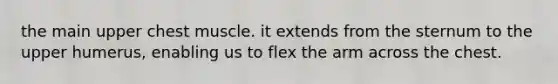 the main upper chest muscle. it extends from the sternum to the upper humerus, enabling us to flex the arm across the chest.