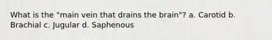 What is the "main vein that drains <a href='https://www.questionai.com/knowledge/kLMtJeqKp6-the-brain' class='anchor-knowledge'>the brain</a>"? a. Carotid b. Brachial c. Jugular d. Saphenous