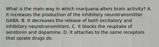 What is the main way in which marijuana alters brain activity? A. It increases the production of the inhibitory neurotransmitter GABA. B. It decreases the release of both excitatory and inhibitory neurotransmitters. C. It blocks the reuptake of serotonin and dopamine. D. It attaches to the same receptors that opiate drugs do.