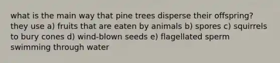 what is the main way that pine trees disperse their offspring? they use a) fruits that are eaten by animals b) spores c) squirrels to bury cones d) wind-blown seeds e) flagellated sperm swimming through water