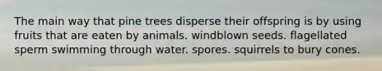 The main way that pine trees disperse their offspring is by using fruits that are eaten by animals. windblown seeds. flagellated sperm swimming through water. spores. squirrels to bury cones.