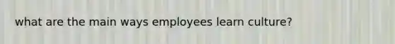 what are the main ways employees learn culture?