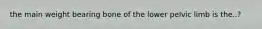 the main weight bearing bone of the lower pelvic limb is the..?