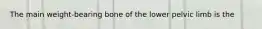 The main weight-bearing bone of the lower pelvic limb is the