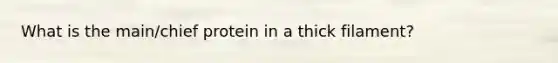 What is the main/chief protein in a thick filament?