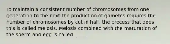 To maintain a consistent number of chromosomes from one generation to the next the production of gametes requires the number of chromosomes by cut in half, the process that does this is called meiosis. Meiosis combined with the maturation of the sperm and egg is called _____.