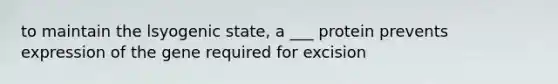 to maintain the lsyogenic state, a ___ protein prevents expression of the gene required for excision