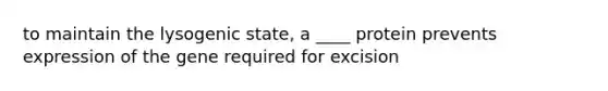 to maintain the lysogenic state, a ____ protein prevents expression of the gene required for excision