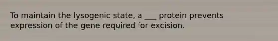 To maintain the lysogenic state, a ___ protein prevents expression of the gene required for excision.