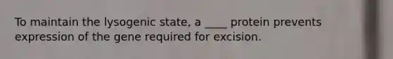 To maintain the lysogenic state, a ____ protein prevents expression of the gene required for excision.