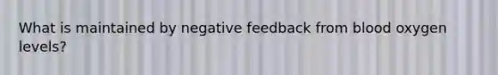 What is maintained by negative feedback from blood oxygen levels?