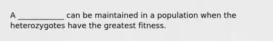 A ____________ can be maintained in a population when the heterozygotes have the greatest fitness.