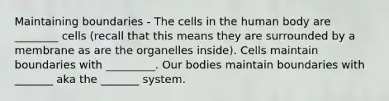 Maintaining boundaries - The cells in the human body are ________ cells (recall that this means they are surrounded by a membrane as are the organelles inside). Cells maintain boundaries with _________. Our bodies maintain boundaries with _______ aka the _______ system.