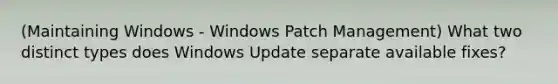 (Maintaining Windows - Windows Patch Management) What two distinct types does Windows Update separate available fixes?