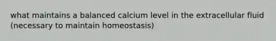 what maintains a balanced calcium level in the extracellular fluid (necessary to maintain homeostasis)