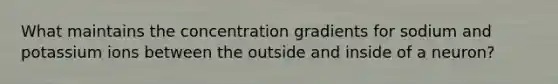 What maintains the concentration gradients for sodium and potassium ions between the outside and inside of a neuron?