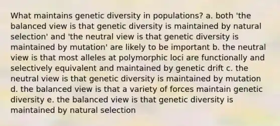 What maintains genetic diversity in populations? a. both 'the balanced view is that genetic diversity is maintained by natural selection' and 'the neutral view is that genetic diversity is maintained by mutation' are likely to be important b. the neutral view is that most alleles at polymorphic loci are functionally and selectively equivalent and maintained by genetic drift c. the neutral view is that genetic diversity is maintained by mutation d. the balanced view is that a variety of forces maintain genetic diversity e. the balanced view is that genetic diversity is maintained by natural selection