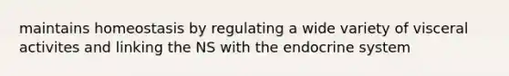 maintains homeostasis by regulating a wide variety of visceral activites and linking the NS with the endocrine system