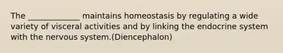 The _____________ maintains homeostasis by regulating a wide variety of visceral activities and by linking the endocrine system with the nervous system.(Diencephalon)