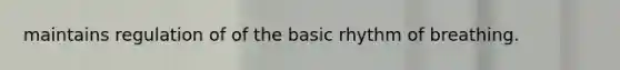 maintains regulation of of the basic rhythm of breathing.