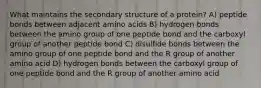 What maintains the secondary structure of a protein? A) peptide bonds between adjacent amino acids B) hydrogen bonds between the amino group of one peptide bond and the carboxyl group of another peptide bond C) disulfide bonds between the amino group of one peptide bond and the R group of another amino acid D) hydrogen bonds between the carboxyl group of one peptide bond and the R group of another amino acid