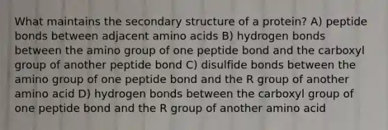 What maintains the secondary structure of a protein? A) peptide bonds between adjacent amino acids B) hydrogen bonds between the amino group of one peptide bond and the carboxyl group of another peptide bond C) disulfide bonds between the amino group of one peptide bond and the R group of another amino acid D) hydrogen bonds between the carboxyl group of one peptide bond and the R group of another amino acid