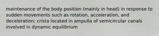 maintenance of the body position (mainly in head) in response to sudden movements such as rotation, acceleration, and deceleration; crista located in ampulla of semicircular canals involved in dynamic equilibrium