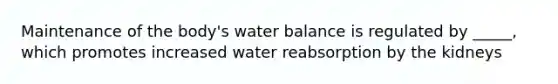 Maintenance of the body's water balance is regulated by _____, which promotes increased water reabsorption by the kidneys