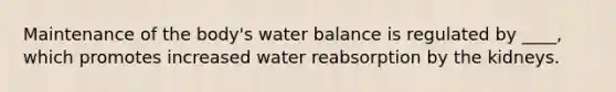 ​Maintenance of the body's water balance is regulated by ____, which promotes increased water reabsorption by the kidneys.