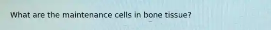 What are the maintenance cells in bone tissue?