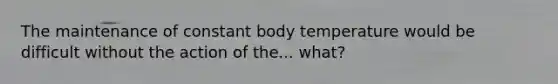 The maintenance of constant body temperature would be difficult without the action of the... what?