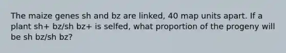 The maize genes sh and bz are linked, 40 map units apart. If a plant sh+ bz/sh bz+ is selfed, what proportion of the progeny will be sh bz/sh bz?