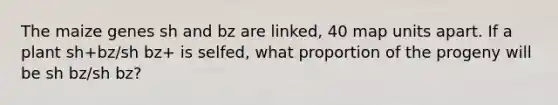 The maize genes sh and bz are linked, 40 map units apart. If a plant sh+bz/sh bz+ is selfed, what proportion of the progeny will be sh bz/sh bz?