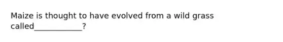 Maize is thought to have evolved from a wild grass called____________?