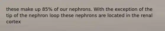 these make up 85% of our nephrons. With the exception of the tip of the nephron loop these nephrons are located in the renal cortex