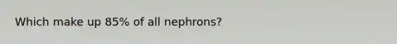 Which make up 85% of all nephrons?