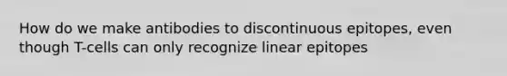 How do we make antibodies to discontinuous epitopes, even though T-cells can only recognize linear epitopes