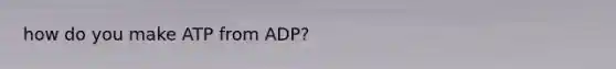 how do you make ATP from ADP?