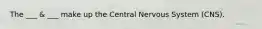 The ___ & ___ make up the Central Nervous System (CNS).