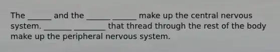 The ______ and the ______ ______ make up the central nervous system. _______ ________ that thread through the rest of the body make up the peripheral nervous system.