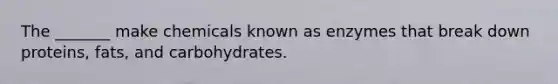 The _______ make chemicals known as enzymes that break down proteins, fats, and carbohydrates.