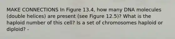 MAKE CONNECTIONS In Figure 13.4, how many DNA molecules (double helices) are present (see Figure 12.5)? What is the haploid number of this cell? Is a set of chromosomes haploid or diploid? -