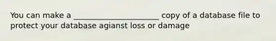 You can make a ______________________ copy of a database file to protect your database agianst loss or damage