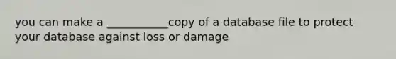 you can make a ___________copy of a database file to protect your database against loss or damage