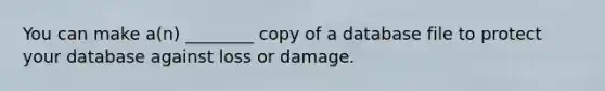 You can make a(n) ________ copy of a database file to protect your database against loss or damage.