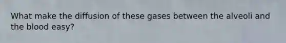 What make the diffusion of these gases between the alveoli and the blood easy?