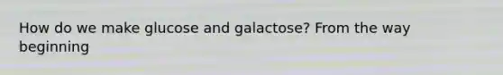 How do we make glucose and galactose? From the way beginning